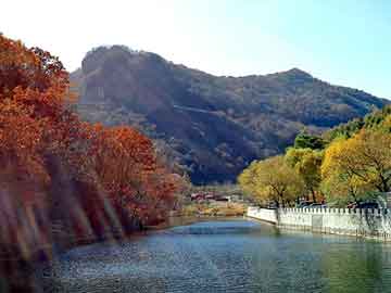 新澳天天免费资料大全，峨山彝族自治seo排名